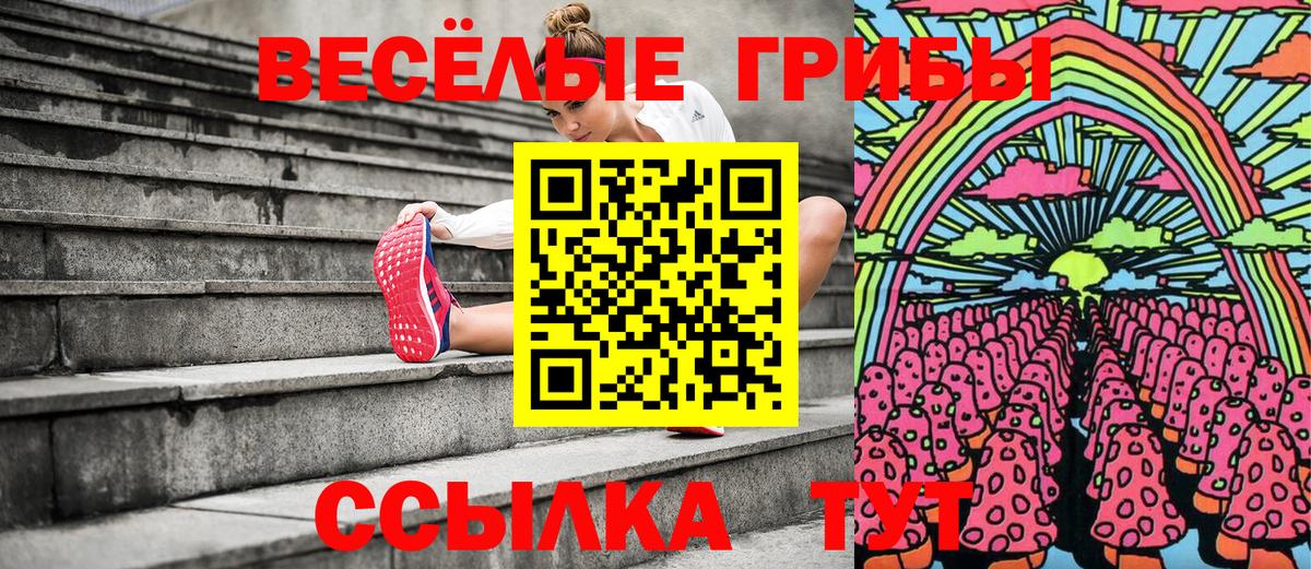 даркнет сайт  Галлюциногенные грибы Psilocybine cubensis  Вход с VPN  Гусь-Хрустальный 
